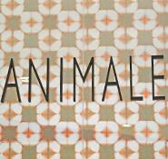 Animale – Shopping Ibirapuera - Foto 1
