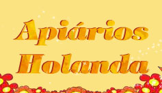 Mel de Abelhas Holanda - Foto 1