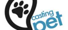 casting_pet_banho_tosa-1410743998