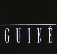Guiné – Shopping Ibirapuera - Foto 1