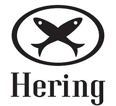Hering – Shopping Ibirapuera - Foto 1
