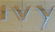 Ivy – Shopping Ibirapuera - Foto 1