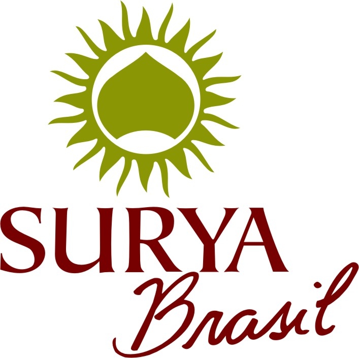Surya Brasil – Shopping Ibirapuera - Foto 1
