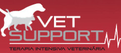 vet_support_clinica_veterinaria-1410744339
