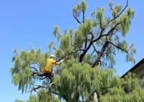 CET - Companhia de Engenharia de Tráfego