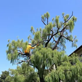 CET - Companhia de Engenharia de Tráfego