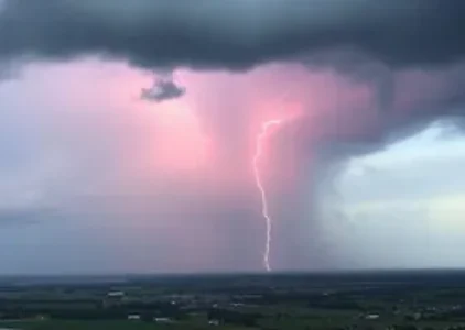 Últimas noticias de Moema