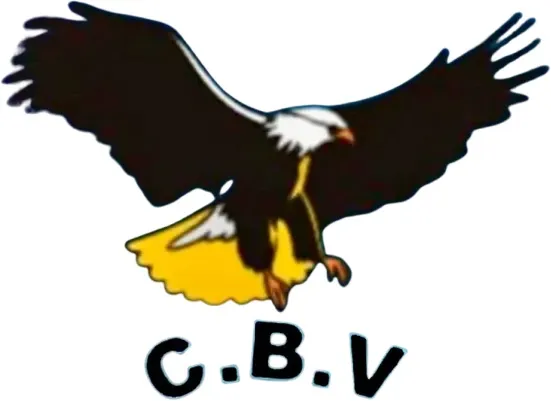 CBV Vidros