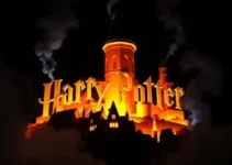 aniversário do Harry Potter