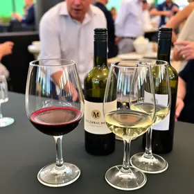 Evento de Oráculos e Vinhos