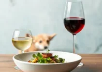 novidades gastronômicas