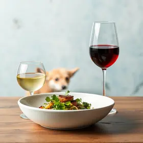 novidades gastronômicas