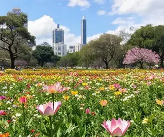 primavera em São Paulo